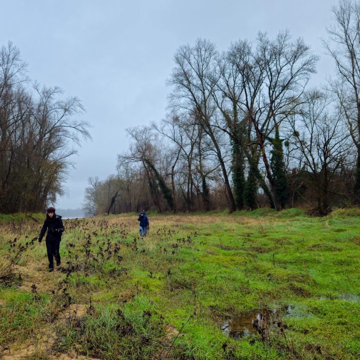 &Agrave; la recherche des &ecirc;tres qui vivent sur les bords de la Loire en tentant de se mettre &agrave; leur place.