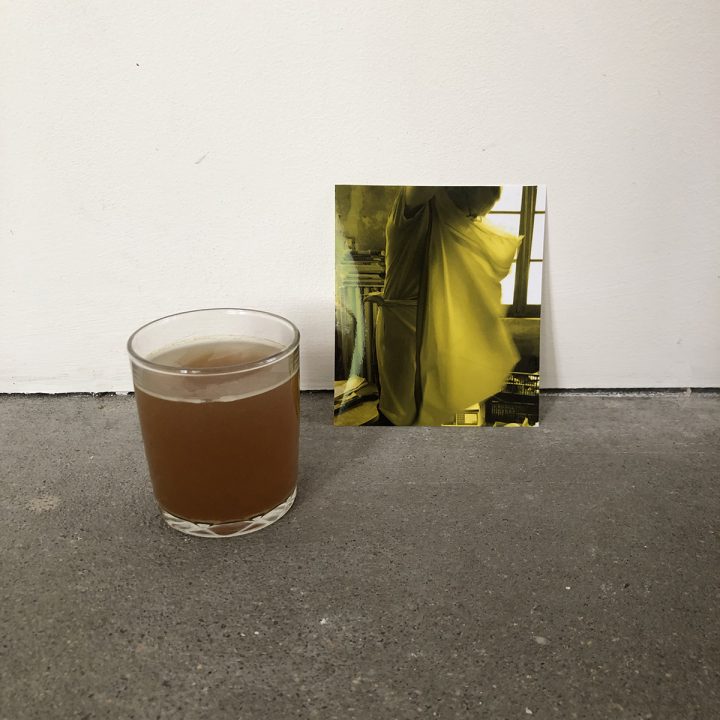teinture d&rsquo;Achil&eacute;e millefeuille et photographie, vue d&rsquo;exposition